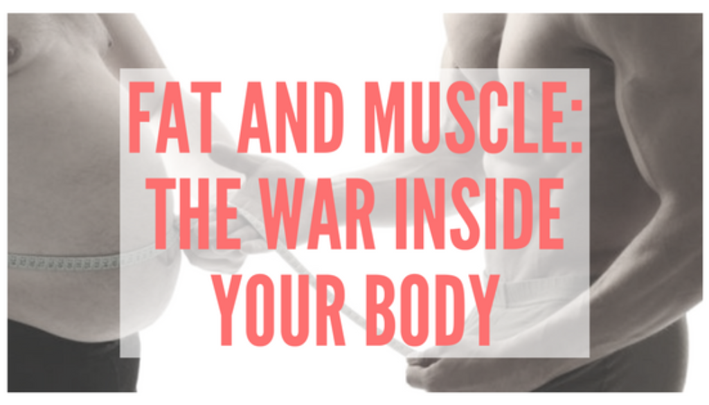 Fat and Muscle- The War Inside Your Body
